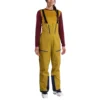 Spodnie Sender GTX Performance Bib Pants W