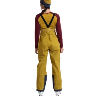 Spodnie Sender GTX Performance Bib Pants W