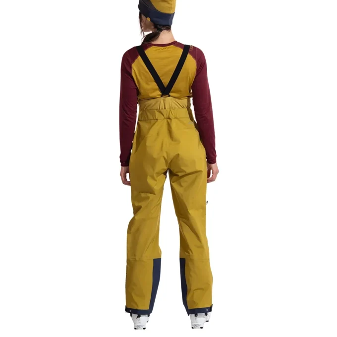 Spodnie Sender GTX Performance Bib Pants W