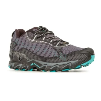 Wildcat 2.0 GTX dla kobiet (2023)