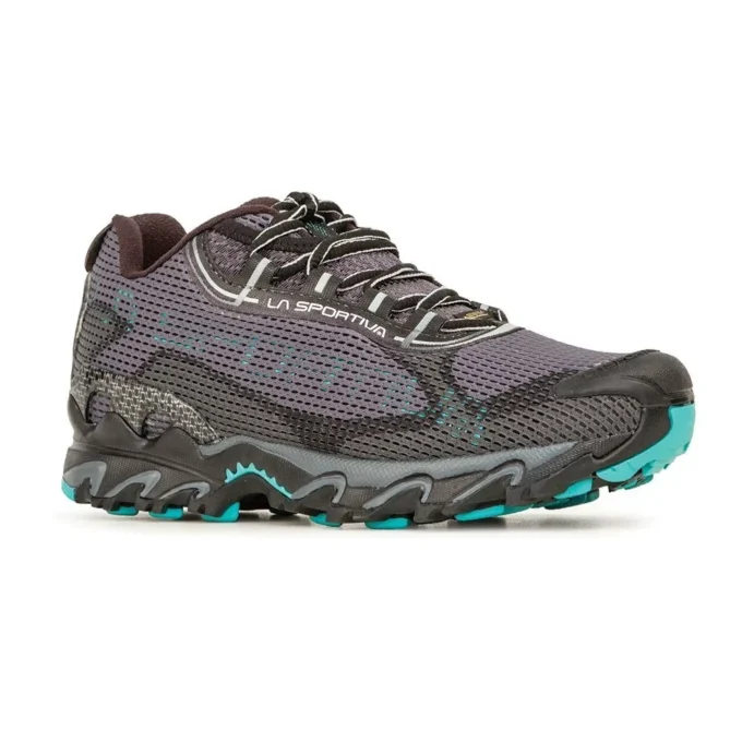 Wildcat 2.0 GTX dla kobiet (2023)