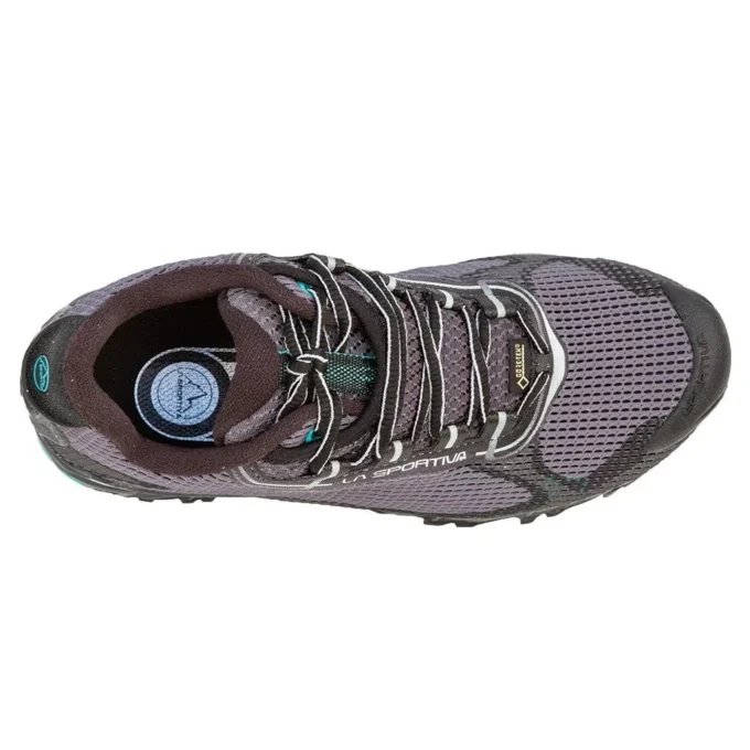 Wildcat 2.0 GTX dla kobiet (2023)